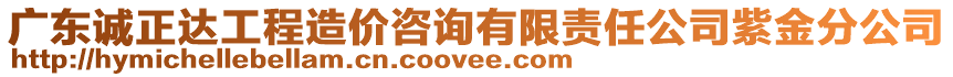 廣東誠正達工程造價咨詢有限責任公司紫金分公司