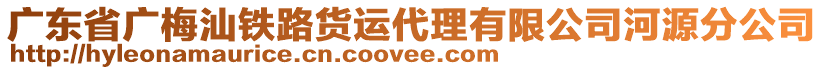 廣東省廣梅汕鐵路貨運代理有限公司河源分公司
