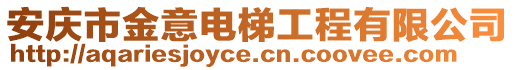 安慶市金意電梯工程有限公司