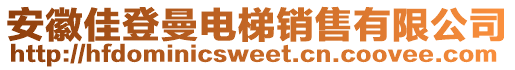 安徽佳登曼電梯銷售有限公司