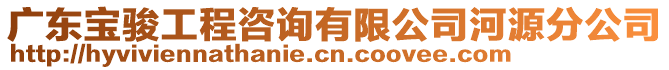 廣東寶駿工程咨詢有限公司河源分公司