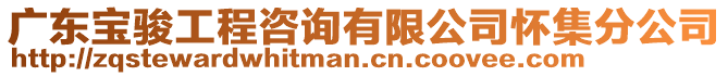 廣東寶駿工程咨詢有限公司懷集分公司