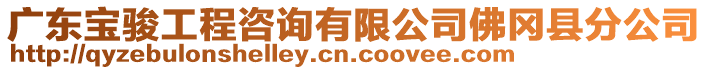 廣東寶駿工程咨詢有限公司佛岡縣分公司