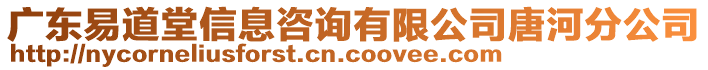 廣東易道堂信息咨詢有限公司唐河分公司