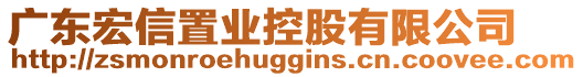 廣東宏信置業(yè)控股有限公司