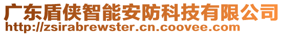 廣東盾俠智能安防科技有限公司