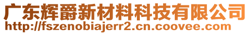 廣東輝爵新材料科技有限公司