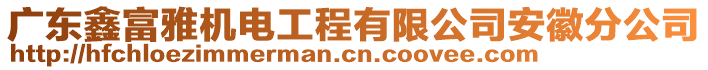 廣東鑫富雅機(jī)電工程有限公司安徽分公司