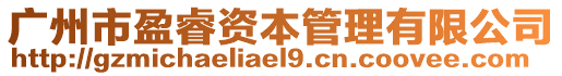 廣州市盈睿資本管理有限公司