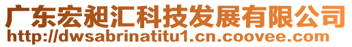 廣東宏昶匯科技發(fā)展有限公司