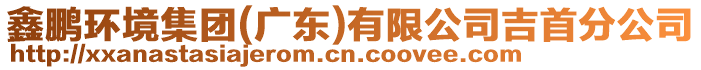 鑫鵬環(huán)境集團(廣東)有限公司吉首分公司