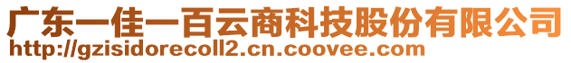 廣東一佳一百云商科技股份有限公司