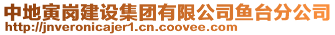 中地寅崗建設(shè)集團(tuán)有限公司魚(yú)臺(tái)分公司