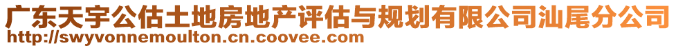 廣東天宇公估土地房地產(chǎn)評估與規(guī)劃有限公司汕尾分公司