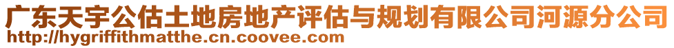 廣東天宇公估土地房地產評估與規劃有限公司河源分公司