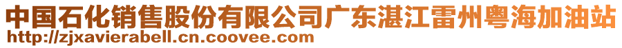 中國石化銷售股份有限公司廣東湛江雷州粵海加油站