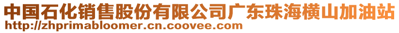 中國(guó)石化銷(xiāo)售股份有限公司廣東珠海橫山加油站