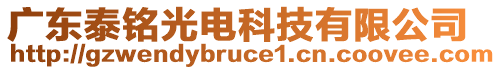 廣東泰銘光電科技有限公司