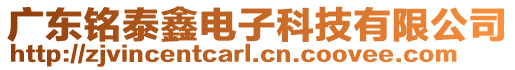 廣東銘泰鑫電子科技有限公司