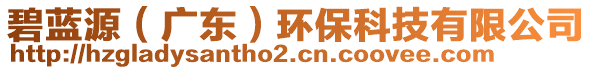 碧藍(lán)源（廣東）環(huán)保科技有限公司