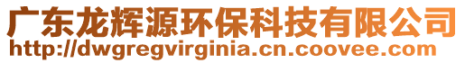 廣東龍輝源環(huán)保科技有限公司