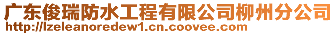 廣東俊瑞防水工程有限公司柳州分公司