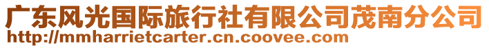 廣東風光國際旅行社有限公司茂南分公司