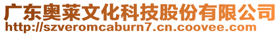 廣東奧萊文化科技股份有限公司