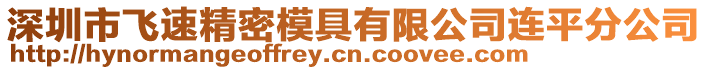 深圳市飛速精密模具有限公司連平分公司