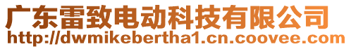 廣東雷致電動(dòng)科技有限公司