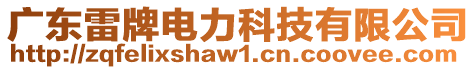 廣東雷牌電力科技有限公司