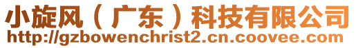 小旋風(fēng)（廣東）科技有限公司
