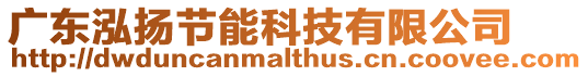 廣東泓揚節能科技有限公司