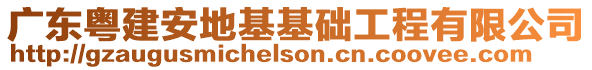 廣東粵建安地基基礎工程有限公司