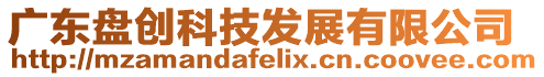 廣東盤創科技發展有限公司