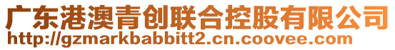 廣東港澳青創(chuàng)聯(lián)合控股有限公司