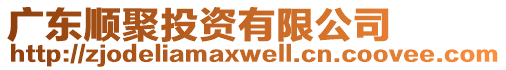 廣東順聚投資有限公司