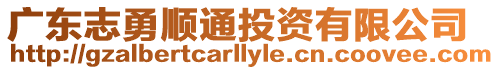 廣東志勇順通投資有限公司