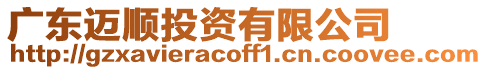 廣東邁順投資有限公司
