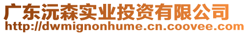 廣東沅森實業投資有限公司