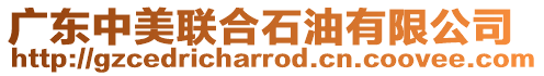 廣東中美聯合石油有限公司
