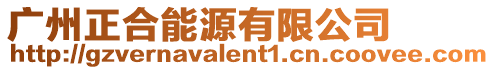 廣州正合能源有限公司