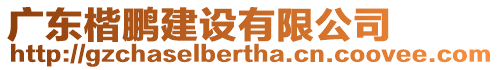 廣東楷鵬建設(shè)有限公司