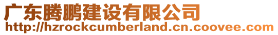 廣東騰鵬建設(shè)有限公司