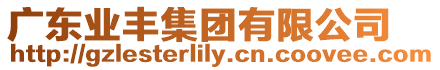 廣東業(yè)豐集團(tuán)有限公司