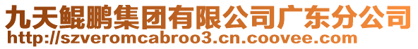 九天鯤鵬集團有限公司廣東分公司