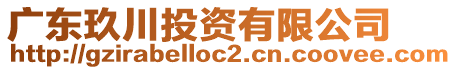 廣東玖川投資有限公司