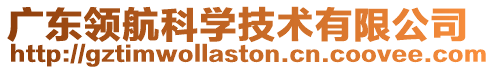 廣東領(lǐng)航科學(xué)技術(shù)有限公司