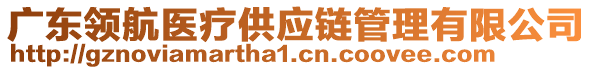 廣東領航醫療供應鏈管理有限公司