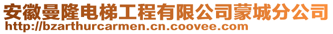 安徽曼隆電梯工程有限公司蒙城分公司